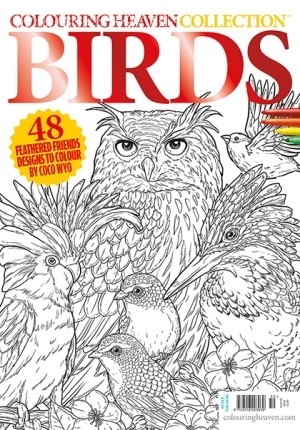 Issue 50: Birds